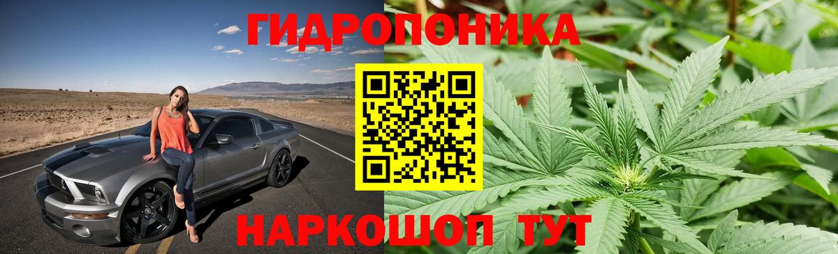 МАРИХУАНА Ganja Саранск